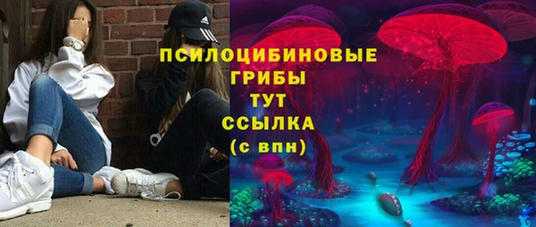 мдпв Пестово