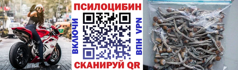 Псилоцибиновые грибы Psilocybe  наркота  Байкальск 