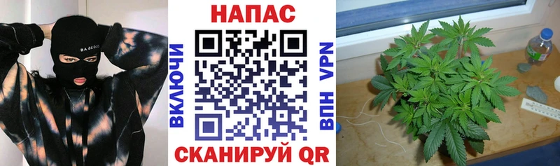 Бошки марихуана Amnesia  ОМГ ОМГ как войти  Байкальск 